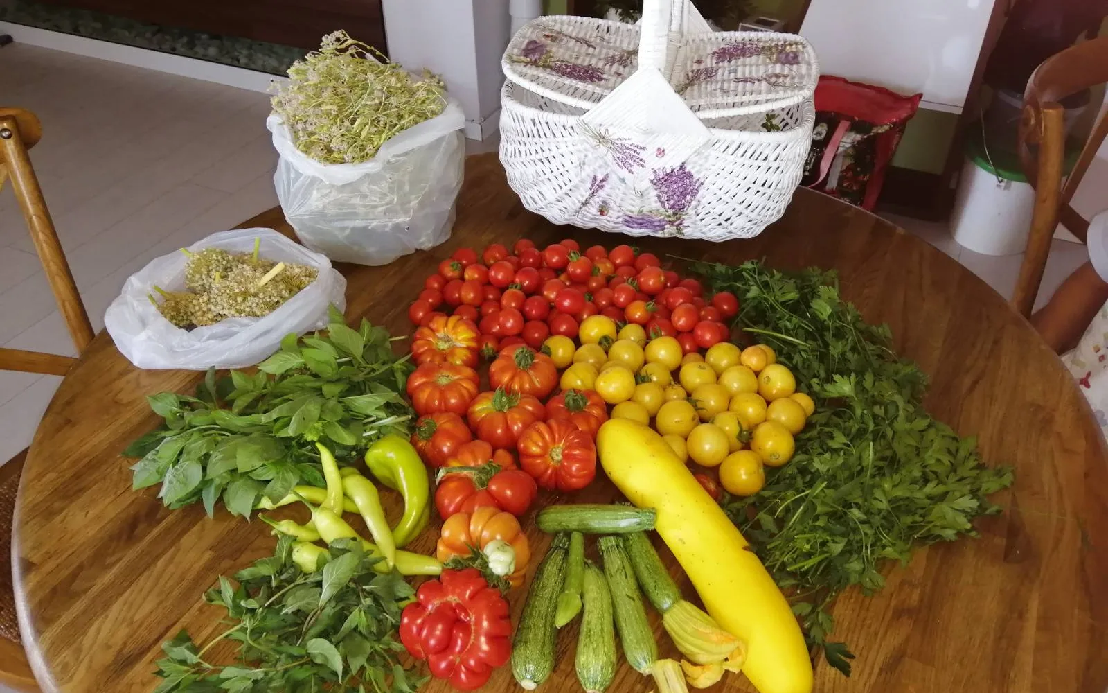 Freshly harvested vegetables including lettuce, tomatoes, peppers, and zucchini in a community garden